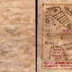 Illustration for article titled A Treasure Trove of Hollywood History On The Redesigned Oscars Website